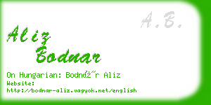 aliz bodnar business card